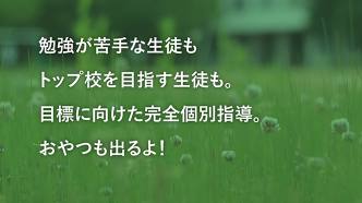 ほかの塾とどう違うの？